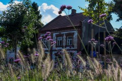 Gmina-Wiskitki-12-Duzy